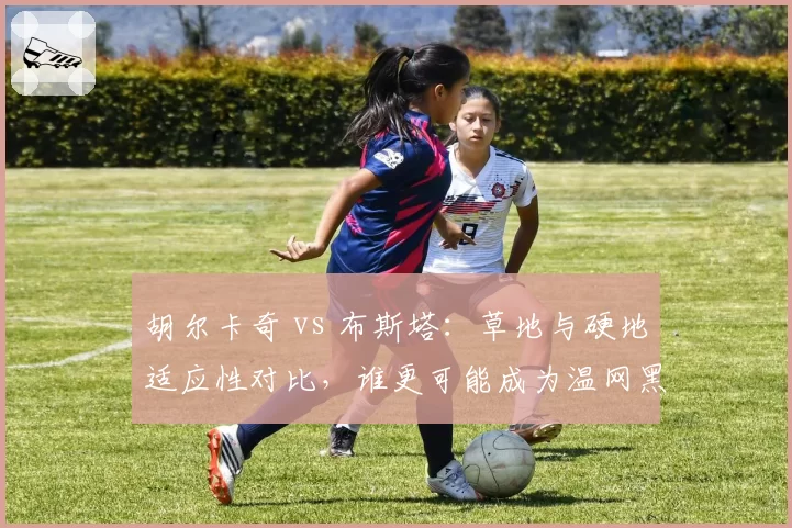 胡尔卡奇 vs 布斯塔：草地与硬地适应性对比，谁更可能成为温网黑马？
