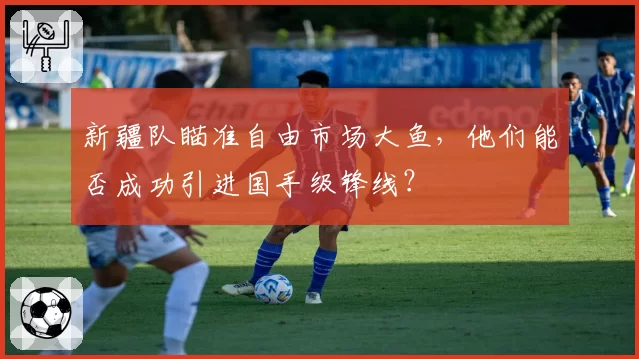 新疆队瞄准自由市场大鱼，他们能否成功引进国手级锋线？