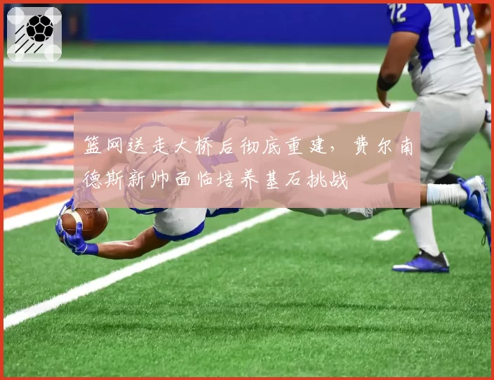 篮网送走大桥后彻底重建，费尔南德斯新帅面临培养基石挑战