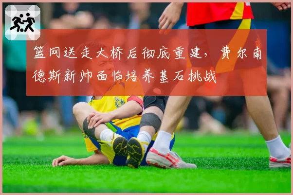 篮网送走大桥后彻底重建，费尔南德斯新帅面临培养基石挑战